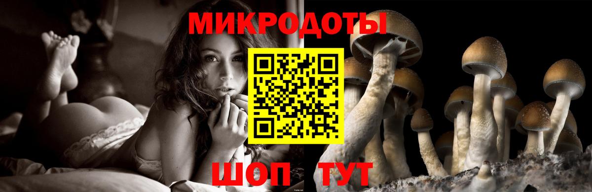 Люберцы  Псилоцибиновые грибы GOLDEN TEACHER  Вход с VPN 